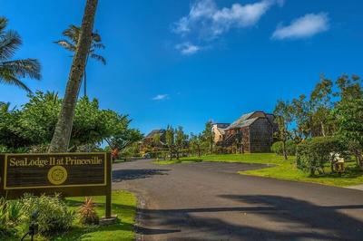 Kahakai Cliffside 2 Bedroom Condo by RedAwning