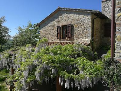 Agriturismo Casa Greppo - L'Ulivo