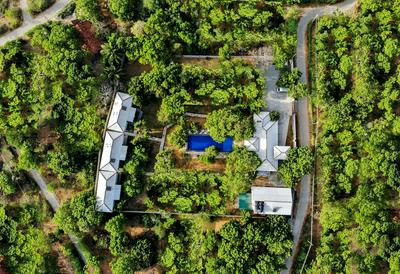 Arana by Forest Trails