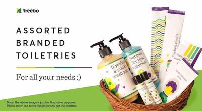 Treebo Town Plaza, Pune Station