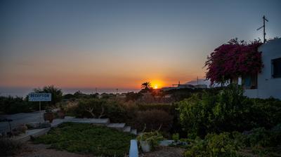 Margarita Apartments