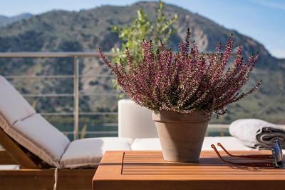 Villa Amelia Panoramic Lake View