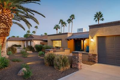 Blue Agave - Tropical Desert Oasis, Billede 2