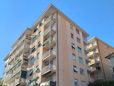 House Dinigi