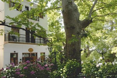 Kritsa Gastronomy Hotel