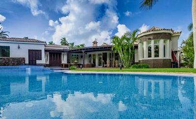 Royal Palm
