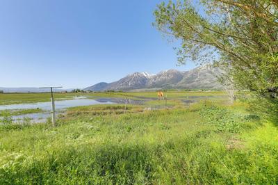 Sierra Nevada Mtn Views: Gardnerville Getaway