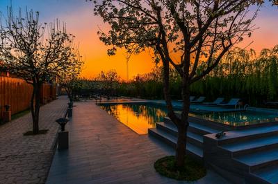 The Orchard Retreat & Spa, Srinagar