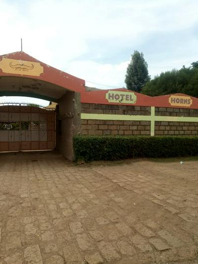 Hotel Horns