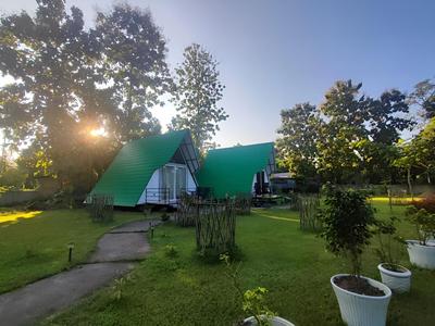 Wildernest