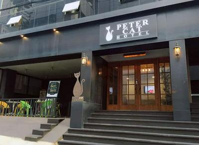 Petercat Hotel Sinchon Hongdae