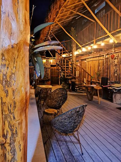 Jungla y Estrellas K AAX EK