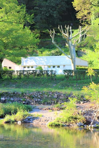 Le Moulin Du Luech - Bulles Insolites