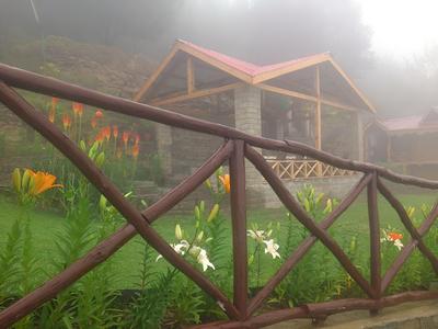 Himalayan Kothi Kais