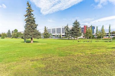 Highliner Hotel - King Rooms with City & Park Views