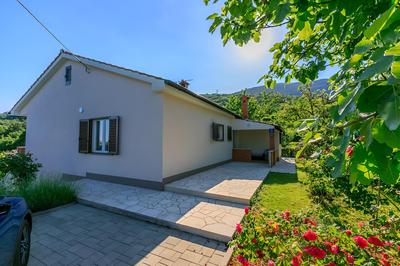 House Vicky