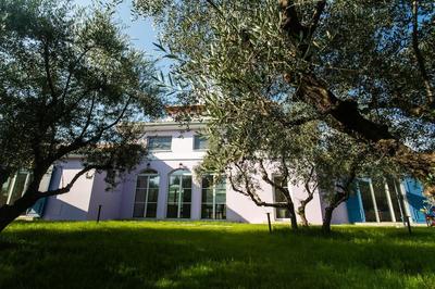 Aneli Villas - Villa Alexandra