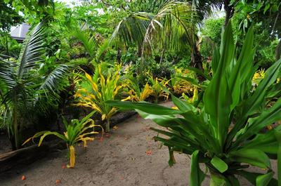 Blue Lagoon Beach Resort