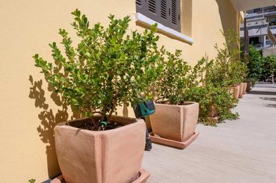 Country Home - Kalamata Mediterranean Villas