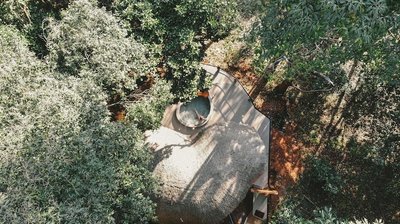 Lannawild Chiang Mai