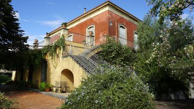 Malvarosa