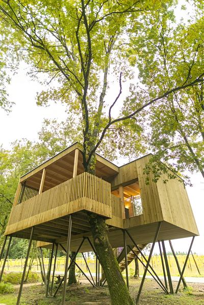 Rooms & Apartments Archontou