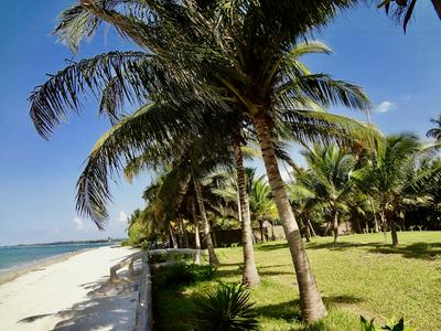 Oceanic Bay Hotel & Resort