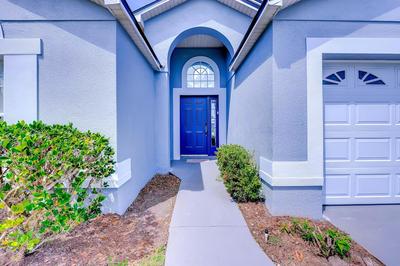 Paradise Island by Orlando Short Term