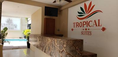 TROPICAL SUITE