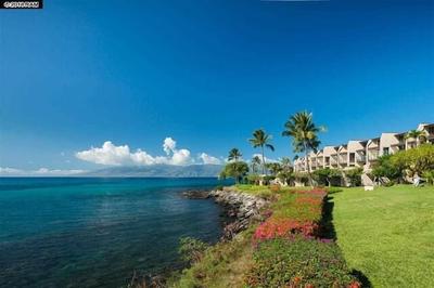 Napili Point C-12 - 2Br Condo