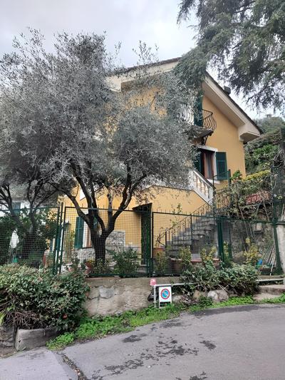 Elli Top's House for Trip to Portofino, 5 Terre