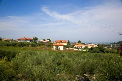 B&B Arli