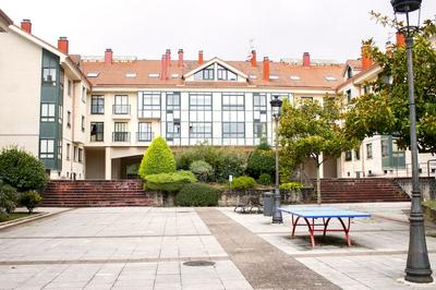 Luxury Singular Apartments Green