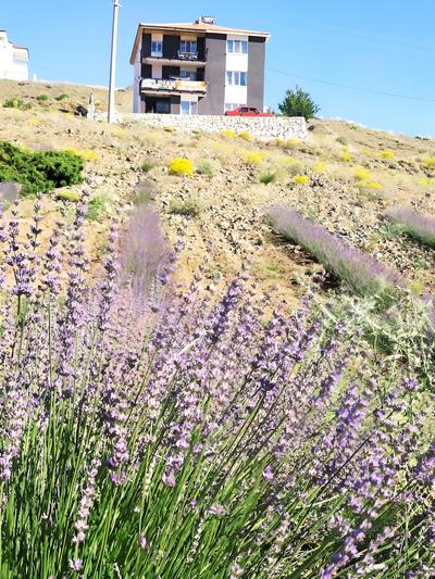 Salda Lake White Islands Apartments