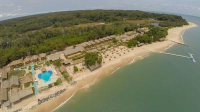 La Baie des Tortues Luth