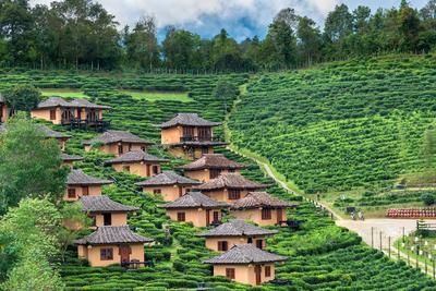 Bodega Pai Party Hostel