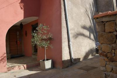 E casalte