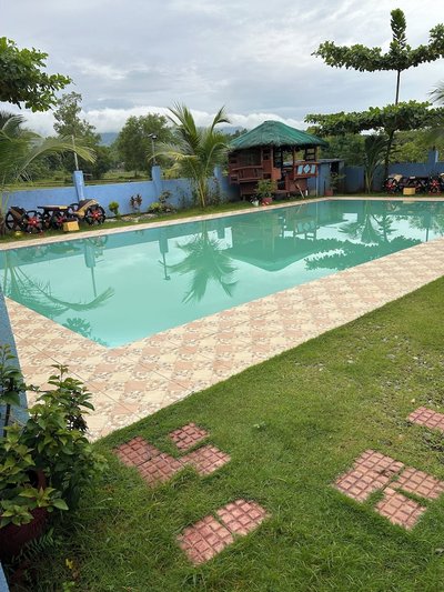 Scarlett Near Mount Zion