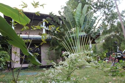 All view resort