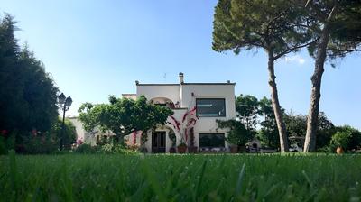 Tenuta DonnAnna