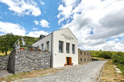 Villa Patzay Borhotel