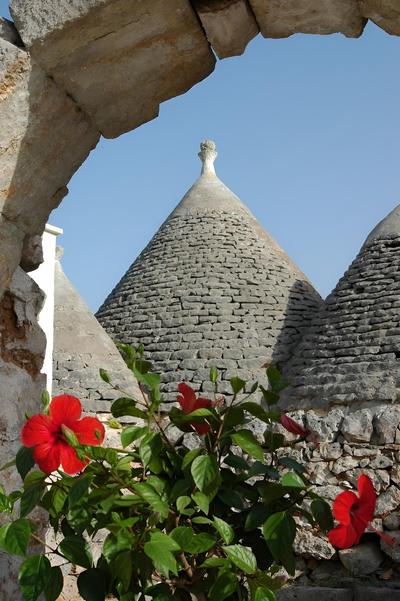 Ulivi Al Sole - Charming B&B