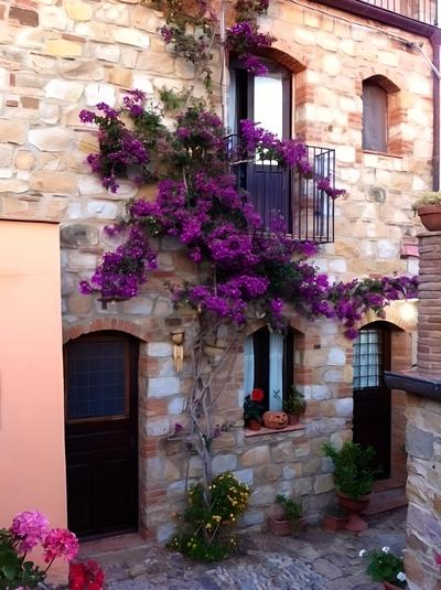 Case Saponara