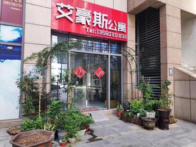 Ihouse Executive Apartment