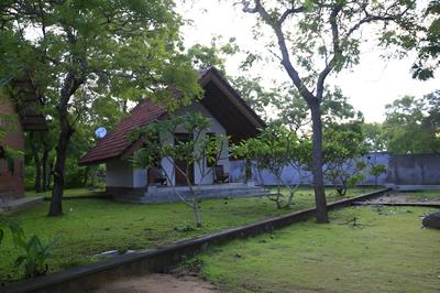 Sandalu Kithulgala