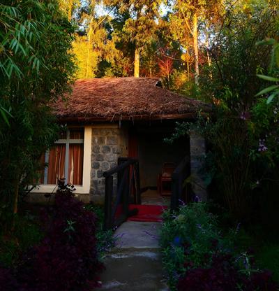 Le Bambou Gorilla Lodge