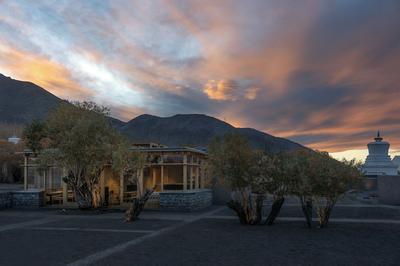 The Postcard in The Himalayan Willows