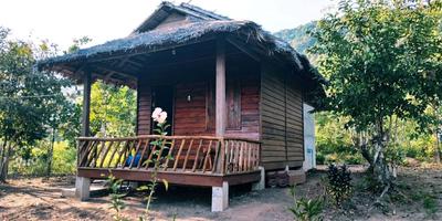 Sea View Beach Bungalows