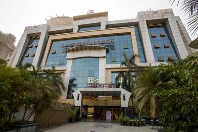 Capital O 33476 Lavender Bough