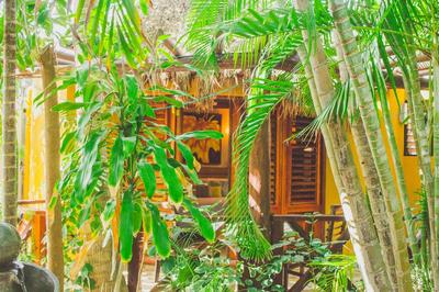 Cocos Cabañas Playa del Carmen Adults only